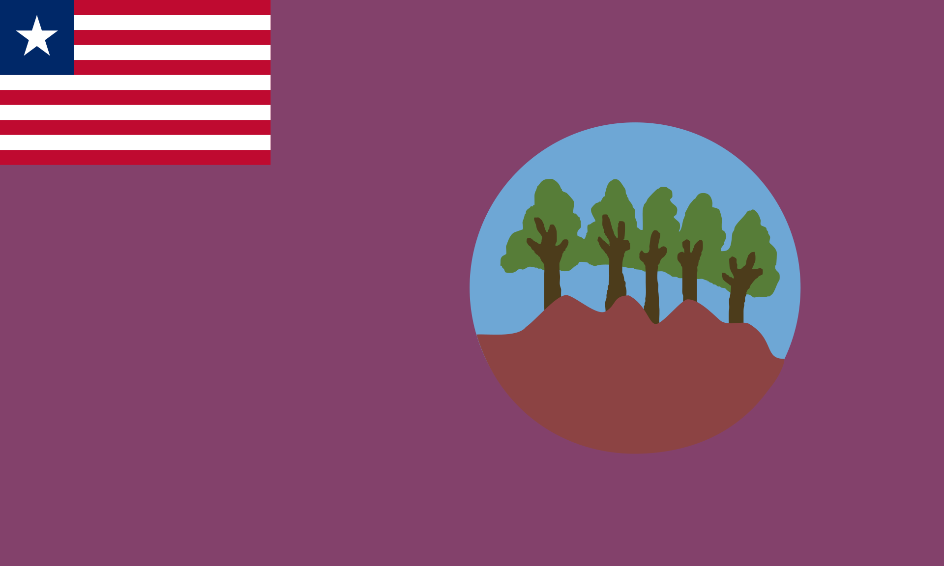 Bomi County Flag